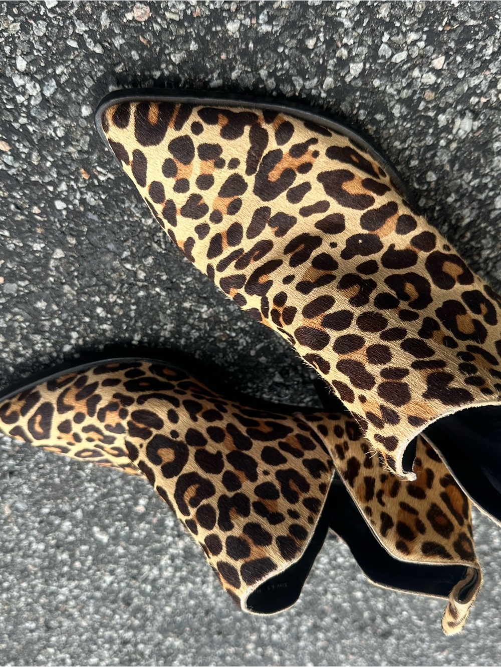 Dolce Vita Leopard Print Pointed Toe Ankle Booties in Brown/Tan